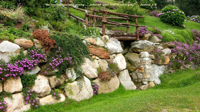 Каменистый сад - 54 фото